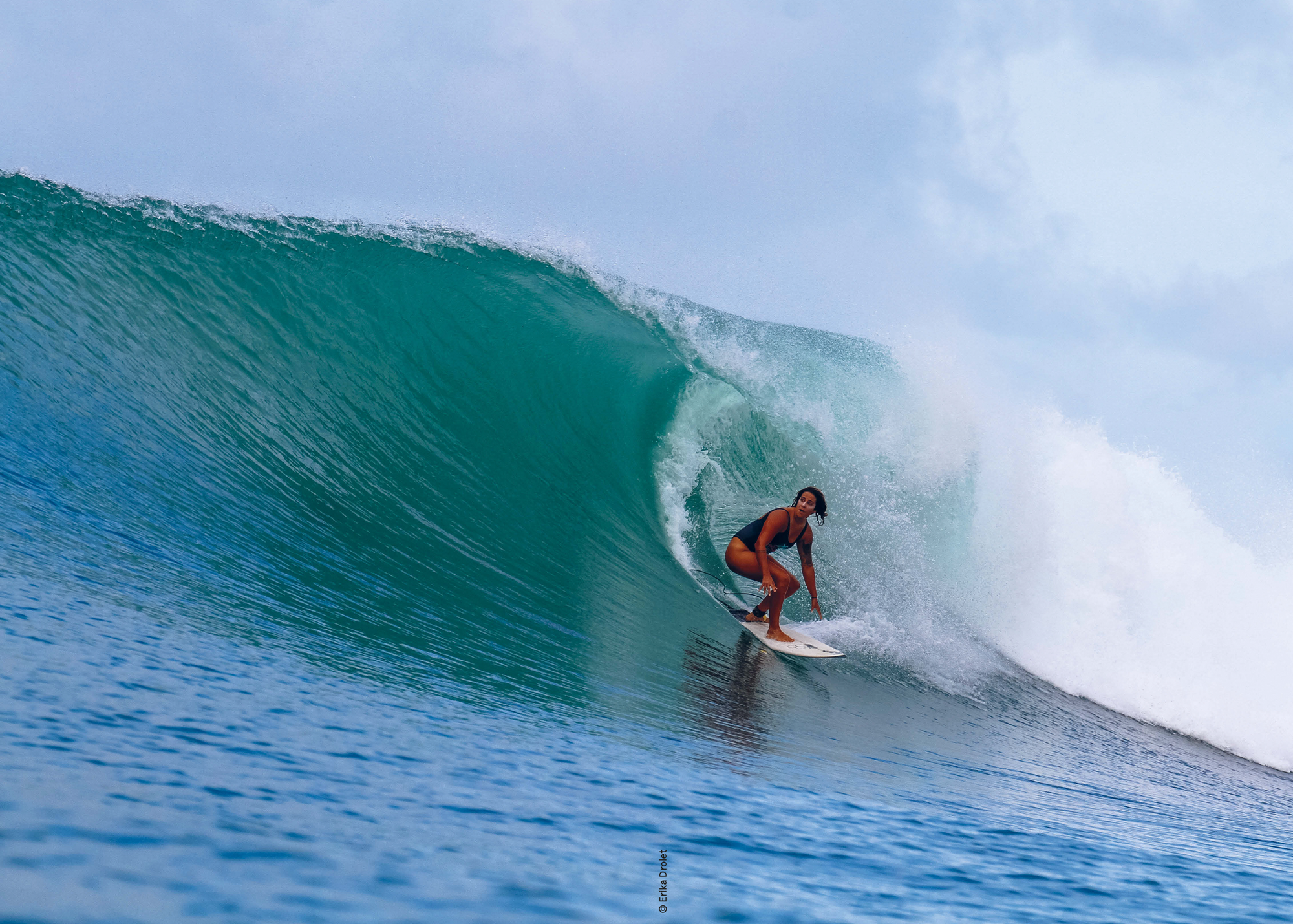 Livre "SURF" par Erika Drolet